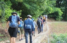 코로나 거리두기로 비대면 걷기 선호…원주굽이길 걸으며 힐링