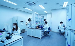 강스템바이오텍, 퓨어스템-알에이주 코로나19 치료목적 사용 및 서울성모병원 IRB 승인