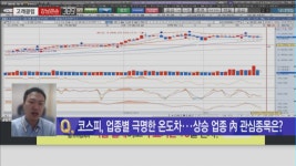 [고래클럽 강남큰손] 코스피, 업종별 극명한 온도차 ··· 상승 업종 內 관심종목은?
