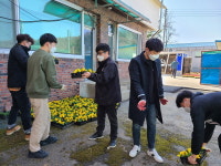 평창군, 꽃길 조성사업 시작