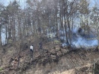평창군 대관령면 유천리 인근 산불 발생… 주불 진화 완료
