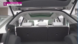 [MTN hip]모빌리티, 펫서비스와 결합...반려동물 전용차 등장