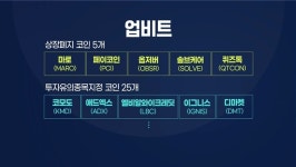 코인 구조조정 어디까지…혼란에 빠진 투자자