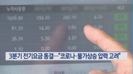 3분기 전기요금 동결…