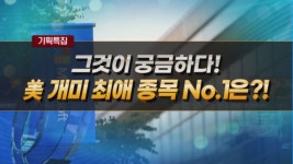 [기획특집] 그것이 궁금하다! 美 개미 최애 종목 No.1은?!