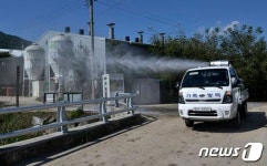 강원 고성 돼지농장, 아프리카돼지열병(ASF) 확진…경기·강원 48시간 이동중지