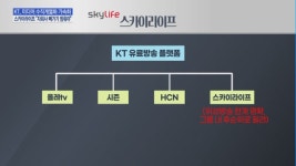 KT, 미디어 수직계열화 가속화… 스카이라이프 자회사 빼가기 그만해야