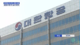 대한항공-아시아나 합병 심사 막바지…빅 딜 속도