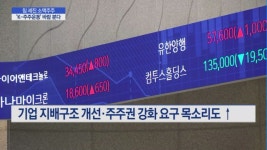 힘 세진 소액주주…K-주주운동 온다