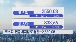 코스피, 연중 최저점 또 경신…2550선 턱걸이