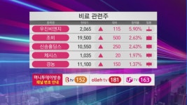 [여의도 주식왕 2부] 보로노이 vs 우진 vs 에코바이오 여의도를 달굴 종목은?
