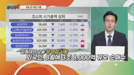 [주식톡톡] 급락장도 버틴다… 방산주vs신재생에너지 모멘텀 체크