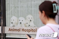 내년 상반기 동물병원 진료비 공개…표준수가제 도입