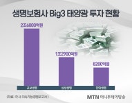 태양광 대출 일파만파…대체투자 큰손 보험사 노심초사