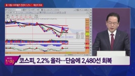 [여의도 주식왕] 에어부산 vs 신성델타테크 vs 제주반도체, 공략법은?