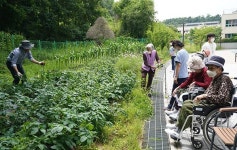 [공공의료 복지 전성기➁]보훈요양원 특화 프로그램으로 선택폭 넓어