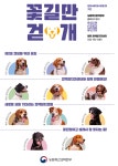 꽃길만 걷개…내년 검역탐지견 민간 입양 시작
