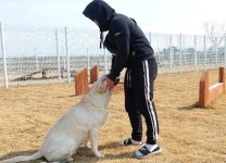 전북 부안군, 반려동물 놀이터 운영