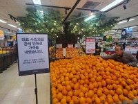 바나나·오렌지 2천톤 긴급 공급…최대 30% 할인