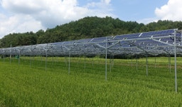 전남 영광에 국내 최대 3㎿급 영농형 태양광발전소 조성한다