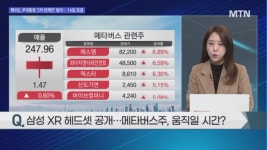 [오후의 쟁점] 오랜만이야 메타버스 / 수상은 불발됐지만… 게임주