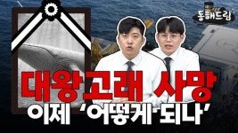 경제성 없다는 대왕고래, 진실은 다르다? [동해드림]