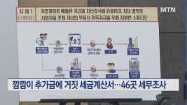 국세청, '깜깜이 스드메' 등 탈세업체 46곳 세무조사