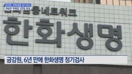 금감원, 한화생명 정기검사…여승주 부회장 3연임 관심