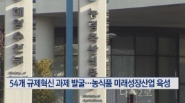 54개 규제혁신 과제 발굴…농식품 신산업 육성