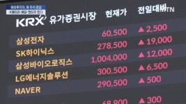 외국 개미용 옴니버스 계좌 열리면 K배터리·배당·엔터주 뜬다