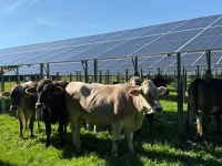 친환경 최선두 獨...재생e 60% 어떻게 만들었나 [유럽 에너지①]