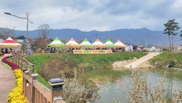 2025 청춘양구 펀치볼 시래기사과축제 개막