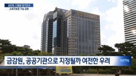 금감원, 다음달 조직개편·정기인사…민생침해대응 조직 강화