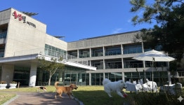 HLB에프앤비, 진안 홍삼빌 반려동물 전용 시설 구축