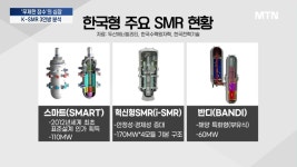 심장의 경쟁력 K-SMR이 뜬다 [신년 기획 -K원잠의 시대로②]