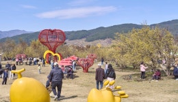 ‘봄꽃 향연’ 제27회 구례산수유꽃축제 성료