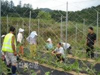 특화작물 앞세운 공동 농장으로 성공했죠