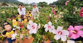 무궁화 전국축제 활짝