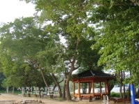 우리 마을 숲 이야기 진안 예리마을숲과 민속문화