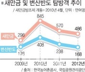 새만금 관광특수 끝…변산 탐방객도 발길 뚝