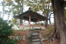 도심 속 속세떠난 망중한 즐길 수 있는 유일한 곳