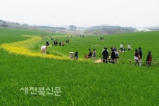청보리밭, 그 이야기 속으로