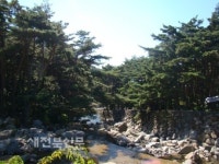 솔솔~ 솔향기 가득 묻어나는 마을