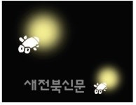 [온누리] 반딧불시장
