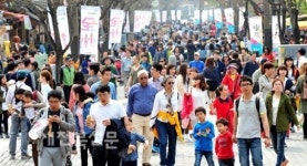 전통문화 콘텐츠 사라진 채 먹거리 장터로 전락