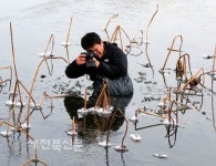 그윽한 길 따라가면 만나는 연꽃 속 세상…
