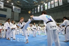 세계 태권도인의 성지, 오늘 문 연다 지구촌 태권도인 향해 힘찬 포효