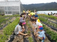 허브밸리 100만 관광객 시동