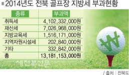 개인-법인 통틀어 최대 납세자 역할