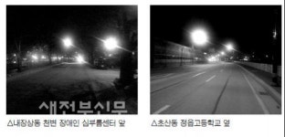 가로등까지 깜깜한 정읍 벚꽃로